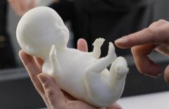 <b>˹˾Embryo 3DΪδĸṩ3Dӡ̥</b>