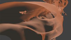 <b>ҹ3Dɨṩֳ񻯻ǵĿ</b>