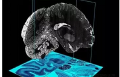 <b>Ƚ3Dӡϵͳ</b>