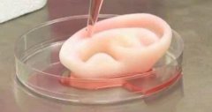 <b>Viscus BiologicsƳ3DӡͿܽ⽺ԭ</b>