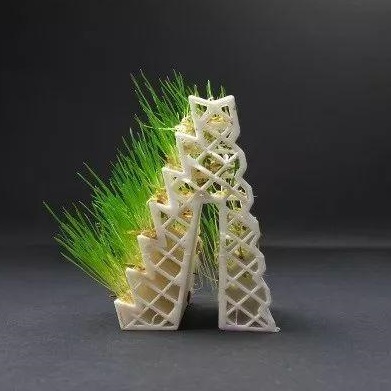 Kai ParthyƳֳｵ3DӡGROWLAY