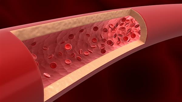 研究人员生物3D打印模拟血管和导管的管状结构 研究人员生物3D打印模拟血管和导管的管状结构
