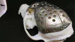 <b>ʡоԱ3Dӡ­֢Ĺ</b>
