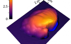 <b>AFM̼ϣȷ3Dӡۺ</b>