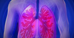 <b>CollPlantUnited Therapeuticsǩ3DӡβЭ</b>