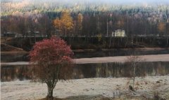 <b>瑞典公司使用木质材料3D打印皮划艇以保护环境</b> <b>瑞典公司使用木质材料3D打印皮划艇以保护环境</b>