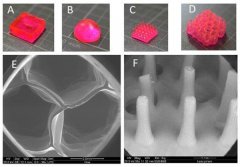 <b>Yissum公司新技术可用于3D打印定制变形药物胶囊</b> <b>Yissum公司新技术可用于3D打印定制变形药物胶囊</b>