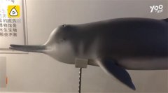 <b>D信ˡ׸3Dӡ걾</b>