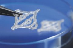 <b>Fraunhofer ILT΢׷ֱʵDLPӾۺ3Dӡ</b>
