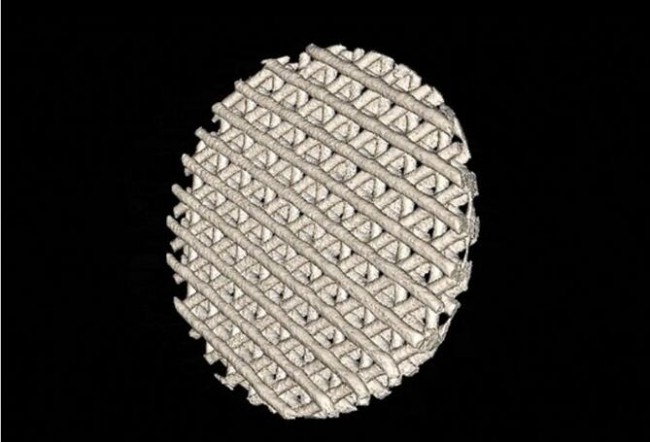 科學(xué)家采用新材料3D打印的超彈性骨可用于顱骨修復(fù)
