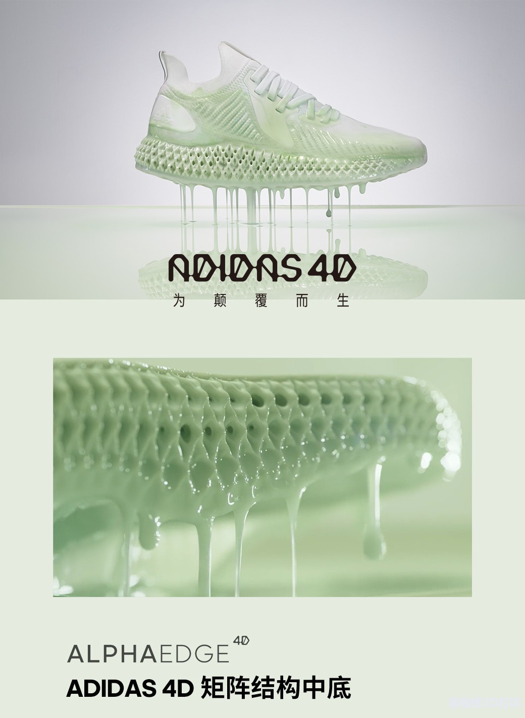 ALPHAEDGE 4D ˶Ь