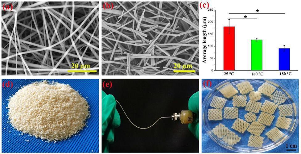 静电纺纤维、分散纤维和3D打印支架 静电纺纤维、分散纤维和3D打印支架