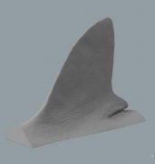 大学生利用3D扫描创建海豚、海龟、鲨鱼三维数据，研究海洋生命