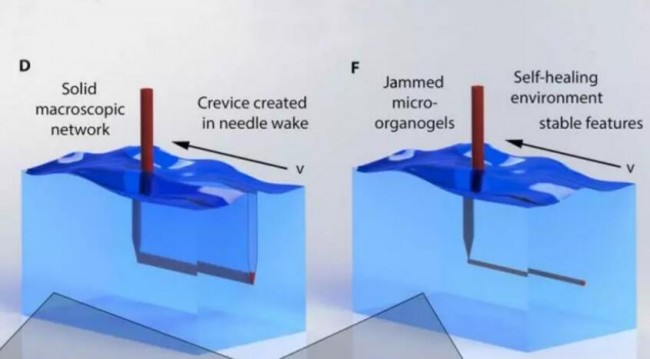 no-scaffold-3d-bioprinting2