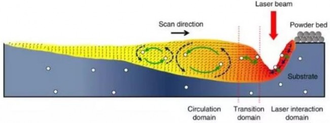 SLM Study_4