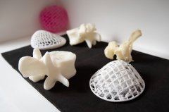 <b>QUTϺоԱڲ˹30Ԫ3Dӡ</b>