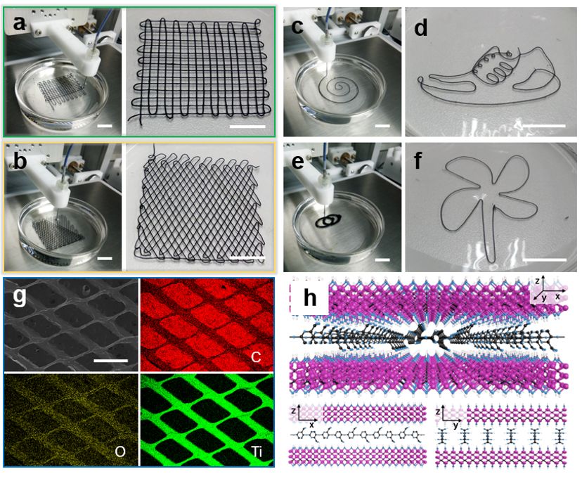 先进功能材料:3D打印纤维素基复合智能纤维和织物 先进功能材料:3D打印纤维素基复合智能纤维和织物