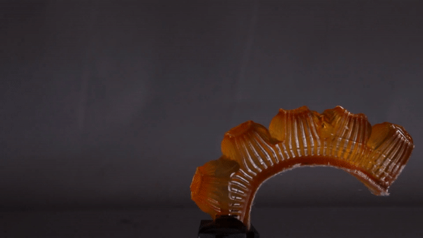   一种3D打印的柔软机器人肌肉，可以通过出汗调节温度。剪辑通过康奈尔大学