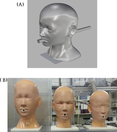 与呼吸机相连的头部 与呼吸机相连的头部