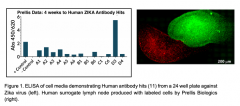 <b>Prellis Biologicsʹ3Dӡܰͽ¹ڲ</b>