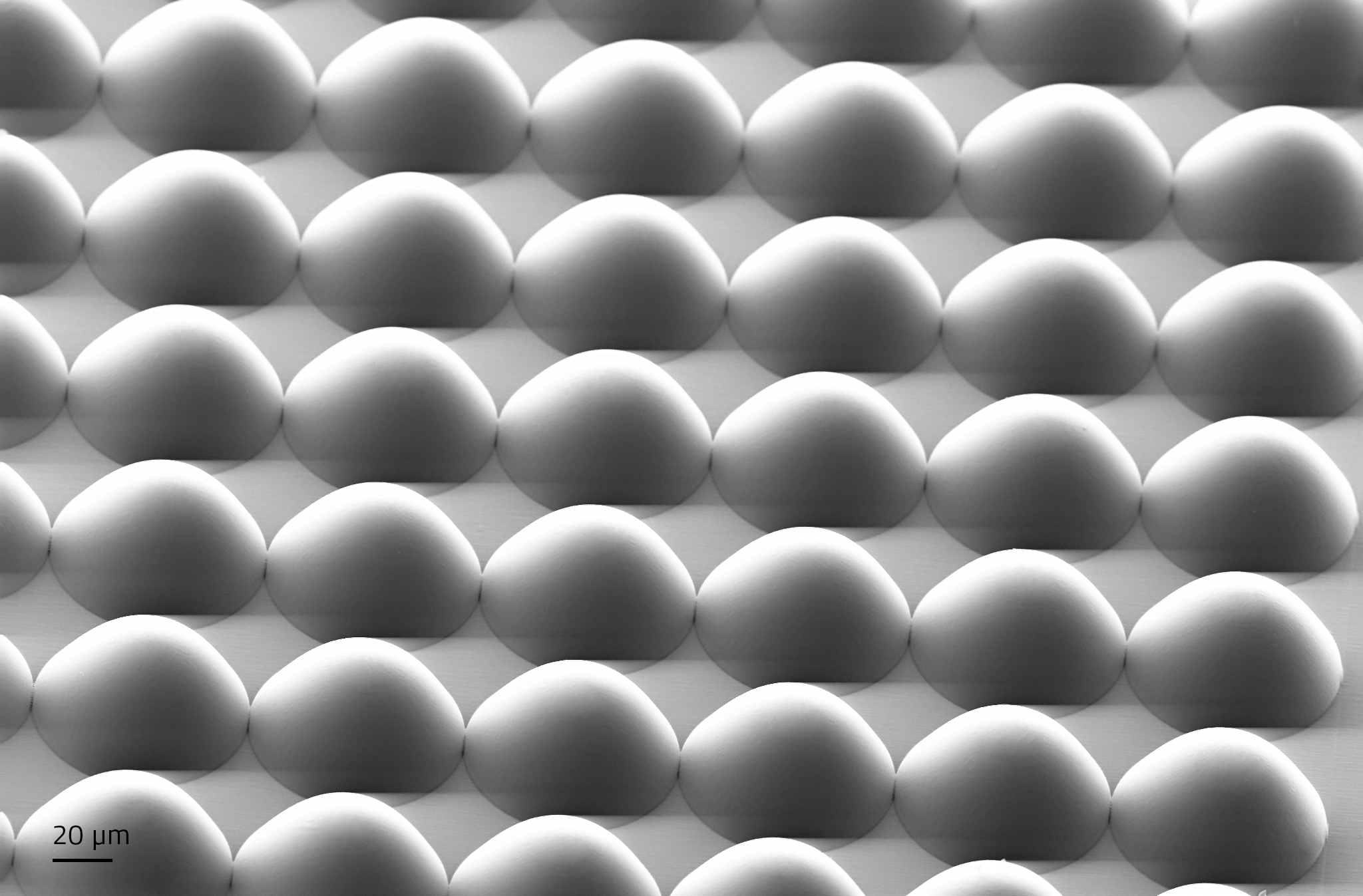 在Quantum X机器上打印的3D微透镜阵列 在Quantum X机器上打印的3D微透镜阵列