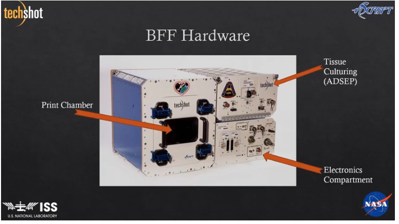  TechshotnScryptBioFabricationʩ