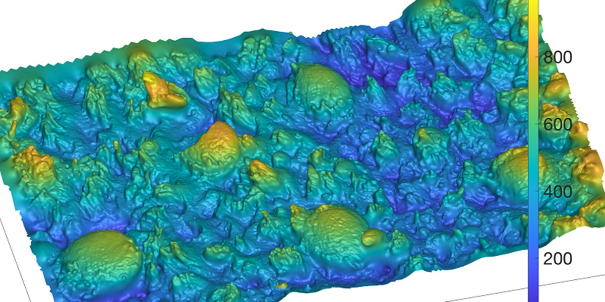 模仿人类口腔摩擦学的仿生舌头表面的3D模型 模仿人类口腔摩擦学的仿生舌头表面的3D模型