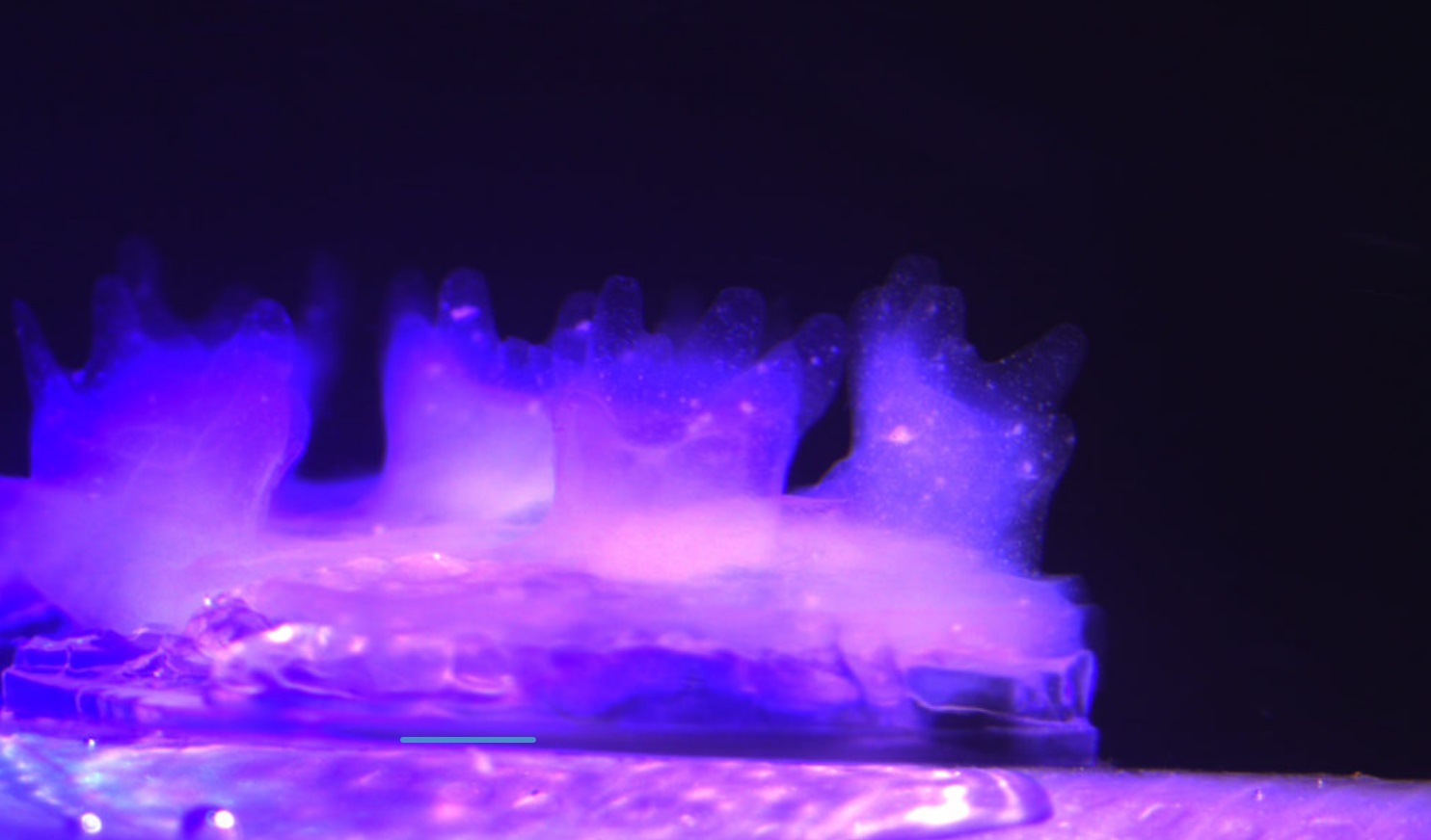 生物3D打印芯片 生物3D打印芯片