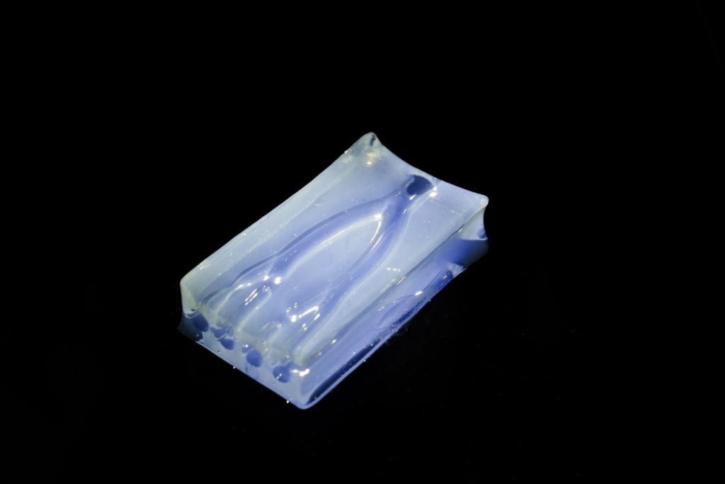 Readily3D对3D血管进行了生物染色 Readily3D对3D血管进行了生物染色