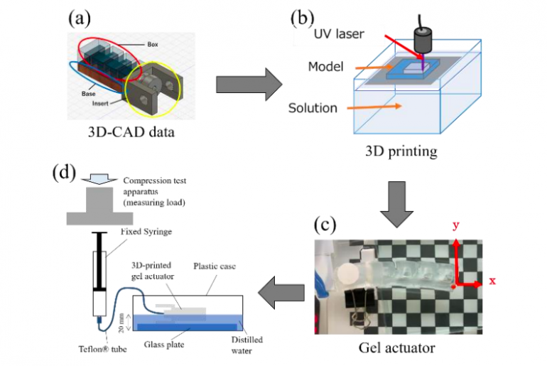 日本科学家使用UV 3D打印机制造了五个凝胶致动器原型 日本科学家使用UV 3D打印机制造了五个凝胶致动器原型