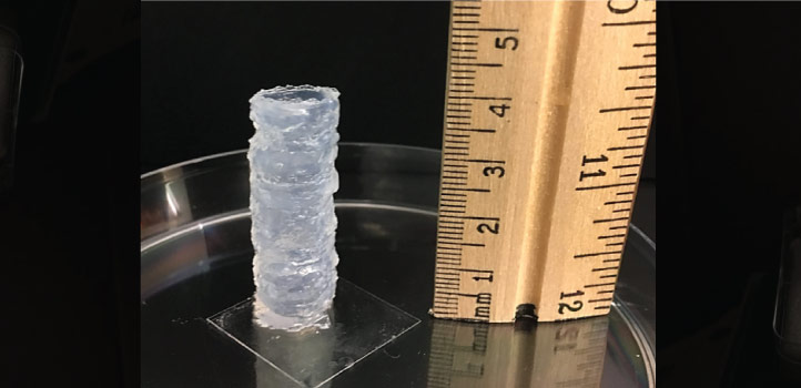 3D打印水凝胶可支持长期细胞存活，并具有再生医学应用的潜力