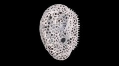 3DӡԸ޸ֲ֧
