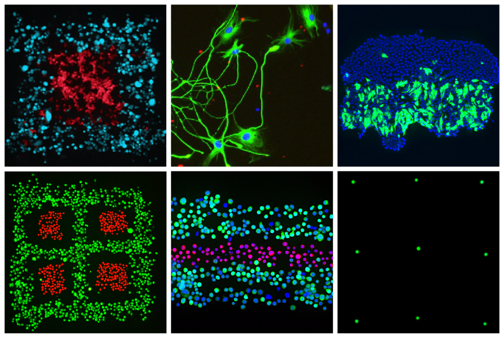 ʹ Fluicell  Biopixlar ƽ̨