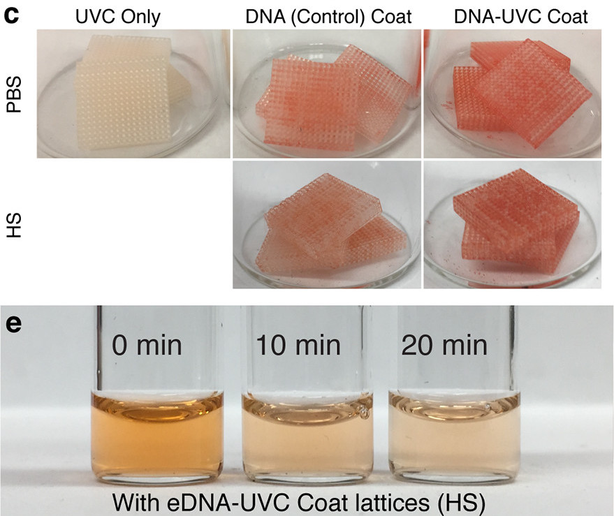  研究人员 3D 打印了 DNA 加载和控制部件