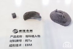 广州赛隆攻关3D打印金属钽人工锥体获成功