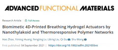 中科院化学所王树等《AFM》：双重响应的仿生4D打印呼吸水凝胶致动器