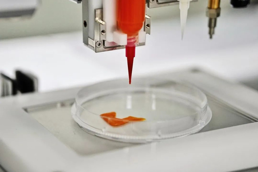 ellX 开发的基于细胞的 3D 打印肉类原型 ellX 开发的基于细胞的 3D 打印肉类原型