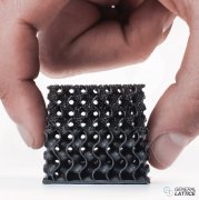 <b>GENERAL LATTICE ½ǩͬͨ3DӡĽսͷ</b>