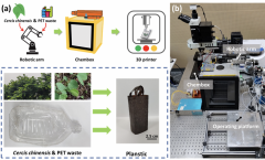 香港中文大学：将树叶和聚合物废料转化为低价可降解的3D打印材料