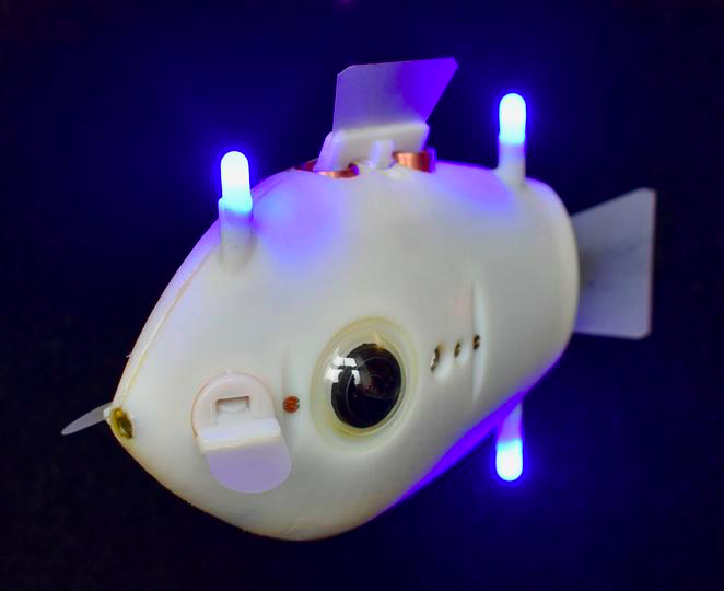 哈佛科学家的受鱼启发的机器人配备了摄像头和蓝色 LED，可帮助它们在水下导航