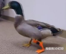 3DӡҽƵײδΪߴร