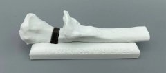 METHOD 3DӡLABSʵҹͬзⲿֲĹѺԲ