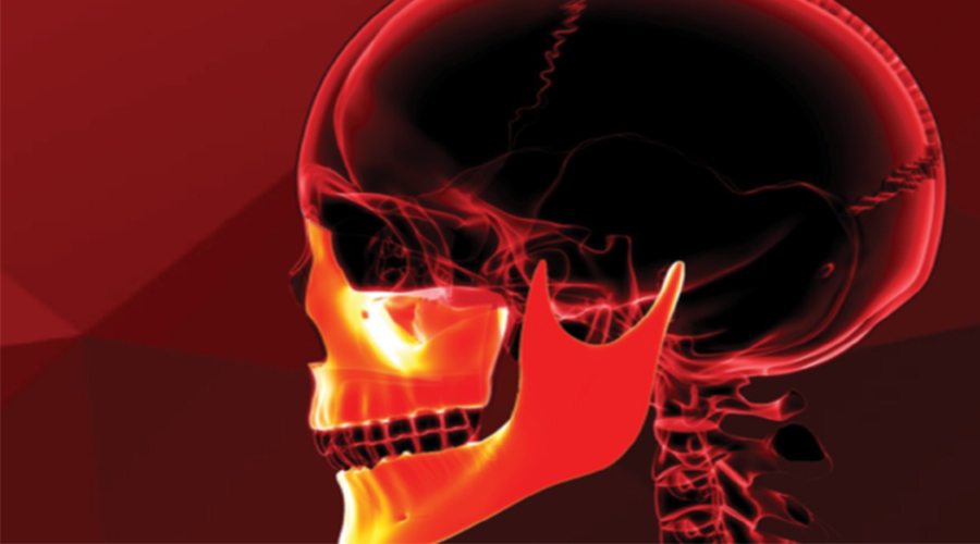 Singular3DӡֲӽʵڵõOsteopore֤ʵ