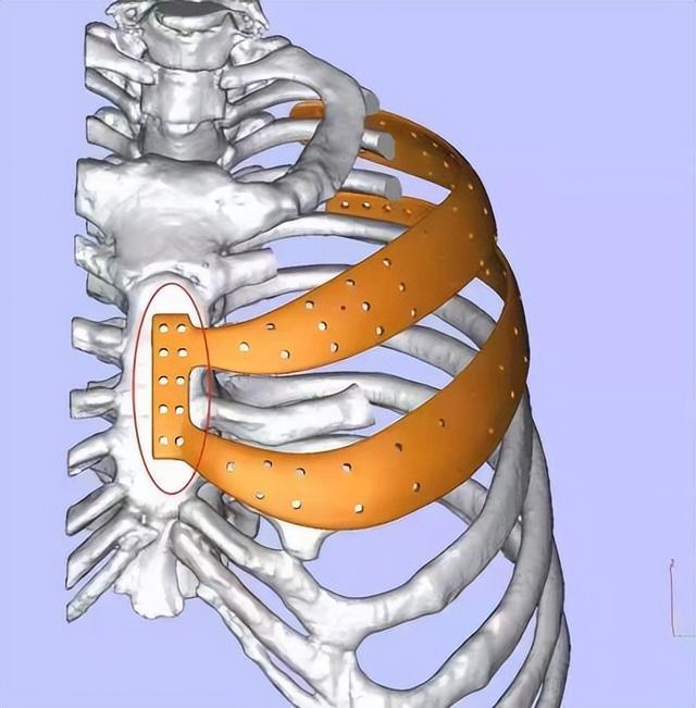 3Dӡڹ׼еоչ