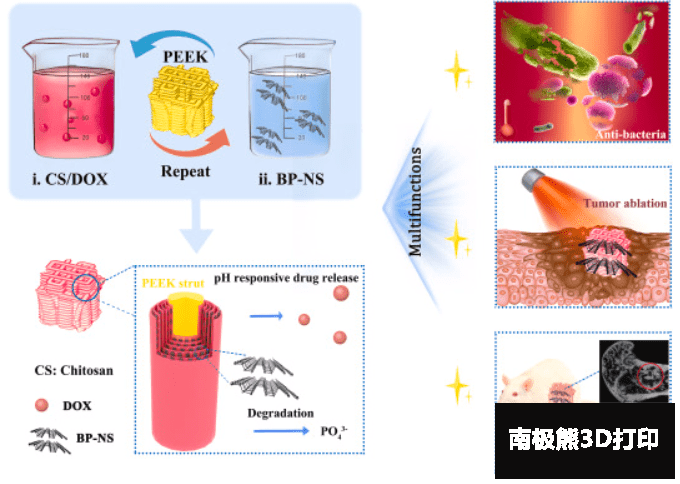 <b>ĴѧҽԺ3DӡPEEK֧븴Ϳϣƹǰй޸</b>