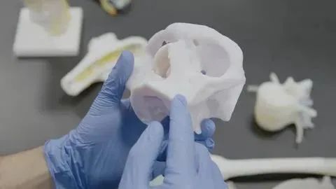 StratasysΪٴṩӡҽģ