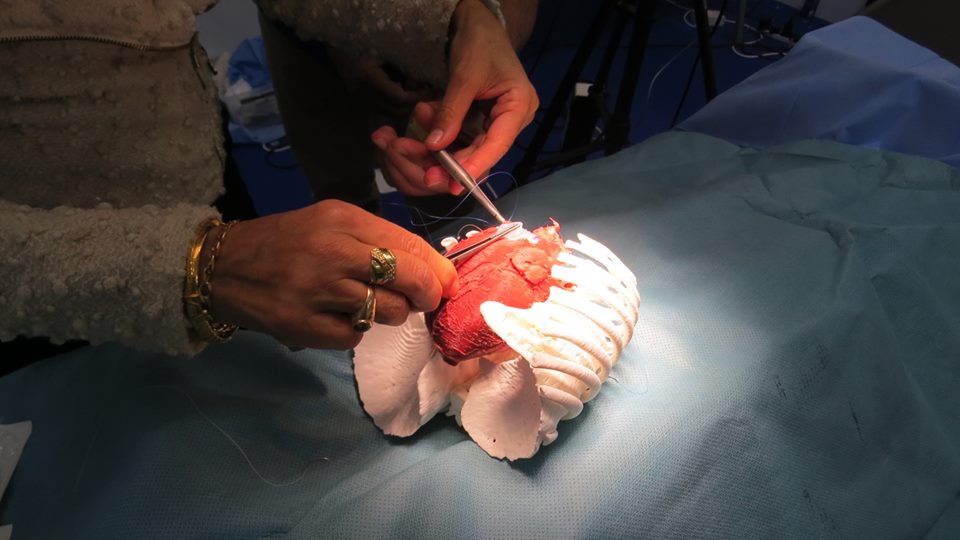 3D LIFEPRINTS˾ΪInsight SurgeryٸԻҽ豸