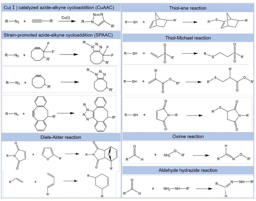 Materials Horizonsѧ3Dӡȫ