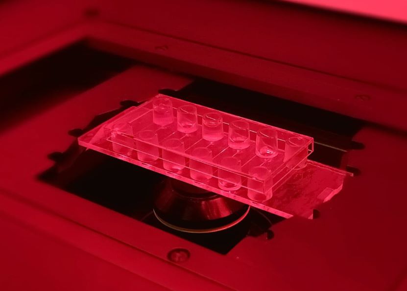 AstroCardia项目将微型3D打印心脏送入太空，进行衰老研究