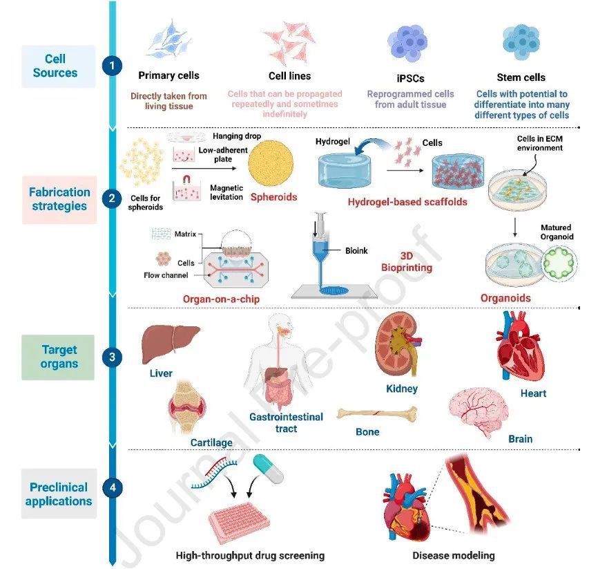 Biomaterials3D֯ģ͵оչٴǰӦ